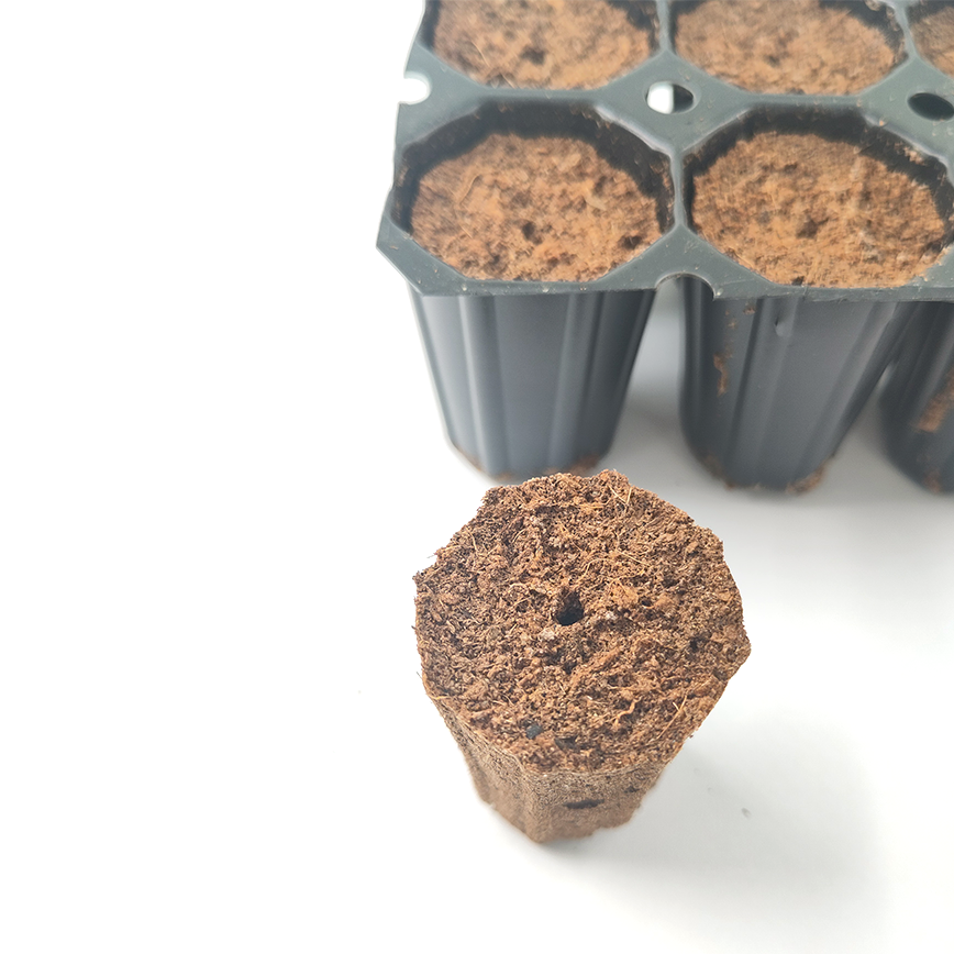 Intra Plug 104er Tray Coco